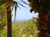 Clarissa Ausblick vonTerrasse 3 zum Meer